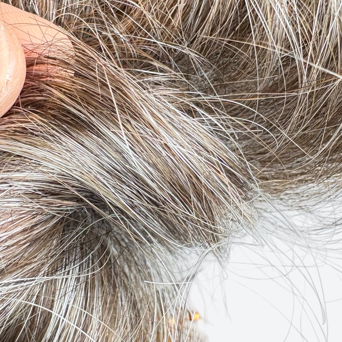 Close-up of gray and brown hair strands.